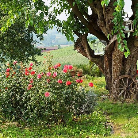 Agriturismo Albarossa Nizza Monferrato Exterior photo