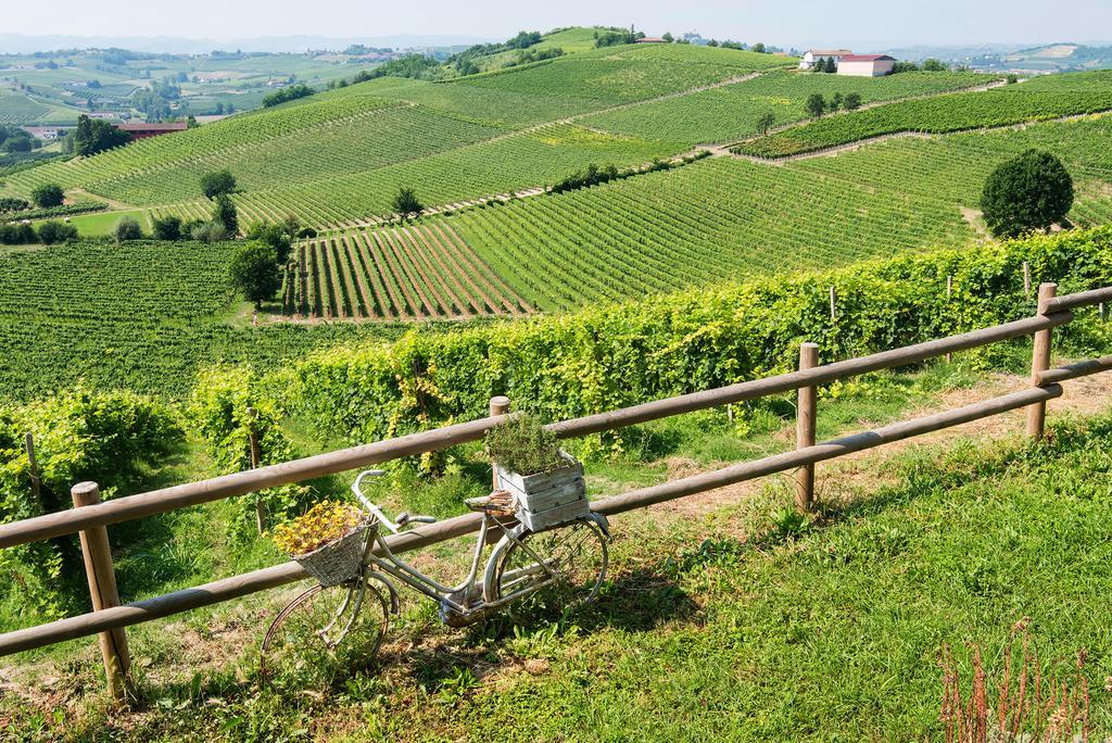 Agriturismo Albarossa Nizza Monferrato Exterior photo