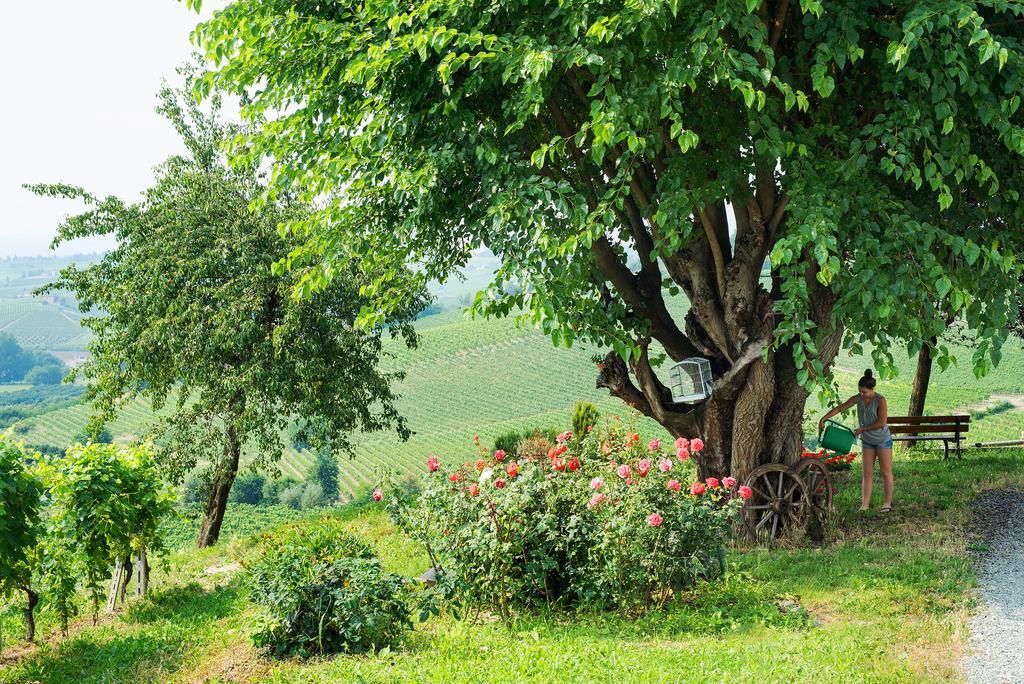 Agriturismo Albarossa Nizza Monferrato Exterior photo